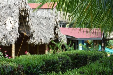 Blue Bird Resort_2